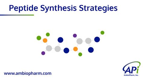 Peptide Synthesis Strategies | AmbioPharm