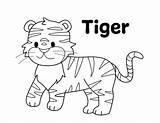 Tiger Coloring Page  Zoo Animal coloring Pages sketch template