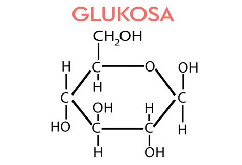 GLUKOSA & GULA - apa itu / apa hubunganya