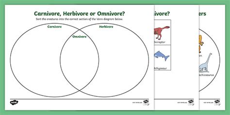 Dinosaurs Omnivore Carnivore Herbivore Sorting Worksheet