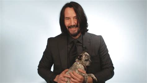 Keanu Reeves Plays With Puppies While Answering Fan Questions | That ...