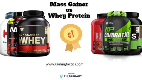 mass gainer vs whey protein - Gaining Tactics