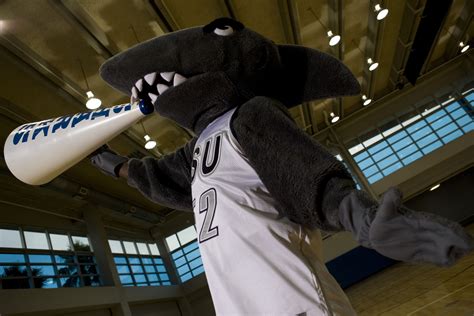 #GoNSUSharks! | Mascot, Ncaa, Shark