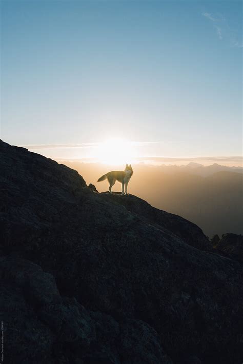 "Mt Seymour Sunrise" by Stocksy Contributor "Michael Overbeck ...