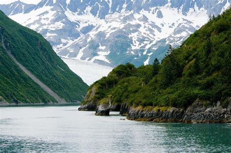 Tickets & Tours - Kenai Fjords National Park, Seward - Viator