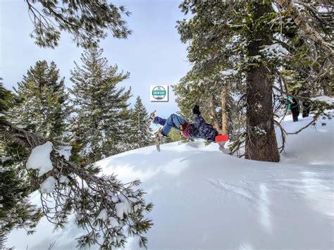 Tahoe Snowshoe Tours - Lake Tahoe Snowshoe Tours