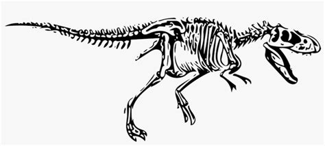 Dinosaur, T-rex, Tyrannosaurus, Fossil - Tyrannosaurus Rex Skeleton Svg PNG Image | Transparent ...