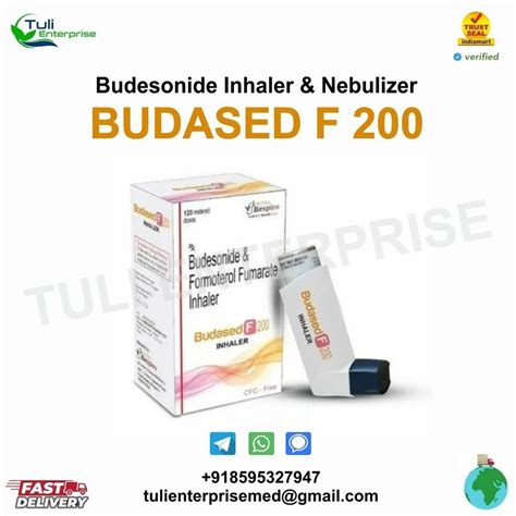 Budesonide Inhaler & Nebulizer at Rs 246 | Rohini Sector 16 | New Delhi ...