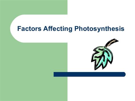 ️ Factors of photosynthesis. Limiting Factors of Photosynthesis. 2019-02-04