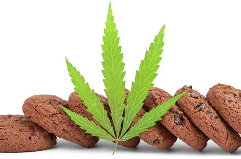 Report: Cannabis Infused Edibles Market Worth $9.68 Billion, to Grow to $20 Billion by 2028