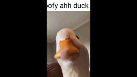 Goofy ahh duck 💀 #shorts - YouTube