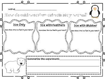 Blubber Experiment by Shelby Hilley | Teachers Pay Teachers