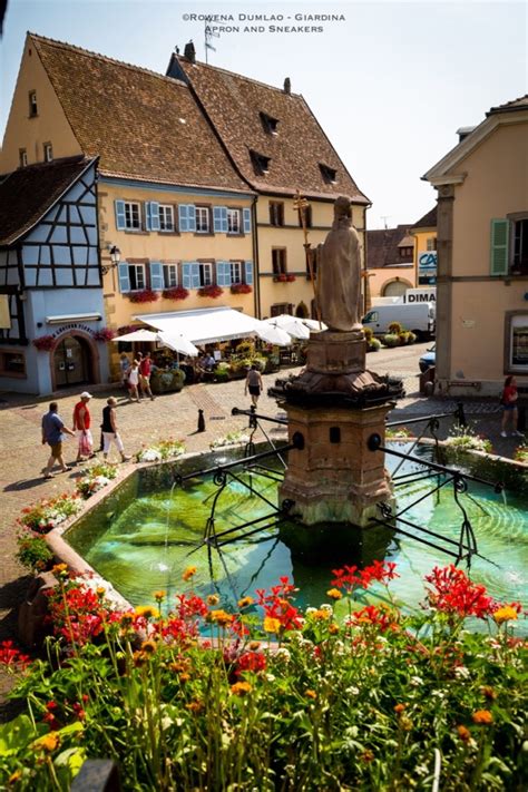 Eguisheim in (Alsace), France: Town & Wines