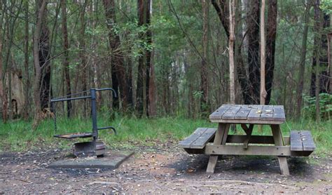 Boundary Falls campground and picnic area | NSW National Parks