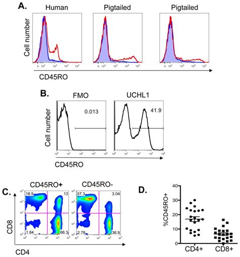 Flow cytometry was performed on freshly isolated PBMC. A. CD45RO was ...