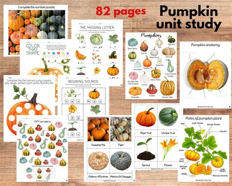 Pumpkin unit study, Pumpkin anatomy and life cycle, Pumpkin varieties three-part cards and ...