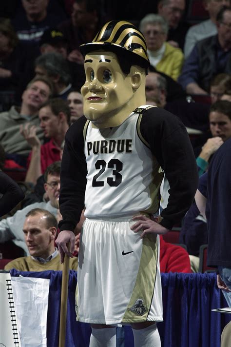 Big Ten mascots poll: Stunning turnout, stunning result - Chicago Tribune