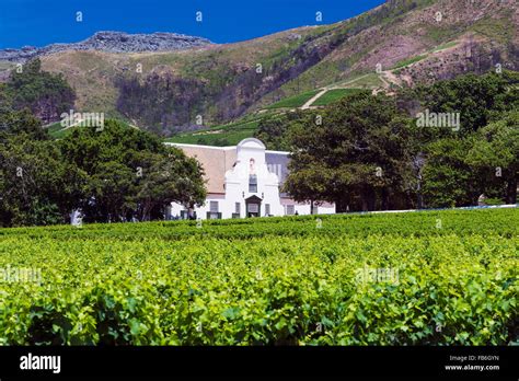 The main manor house and vineyards of Groot Constantia in Cape Town, South Africa Stock Photo ...