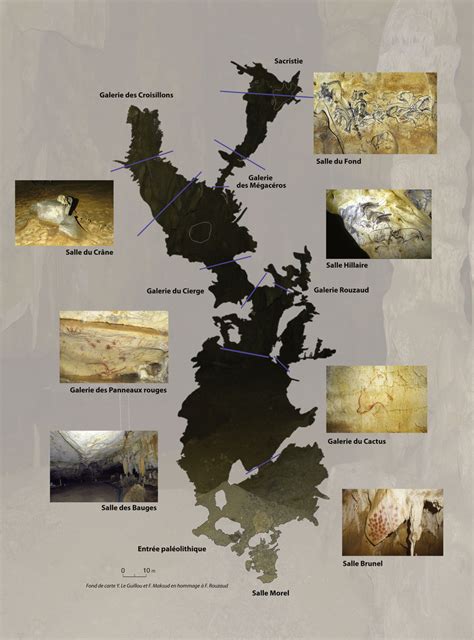 Grotte Chauvet-Pont d'Arc. General plan and the location of the ...