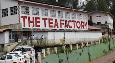 Tea Factory Ooty - Discover India