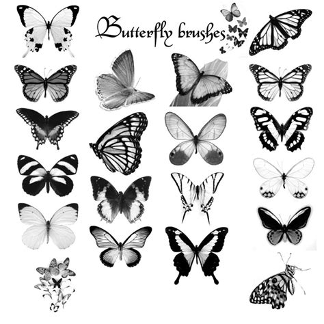 Butterfly Brushes by shahar12 on DeviantArt