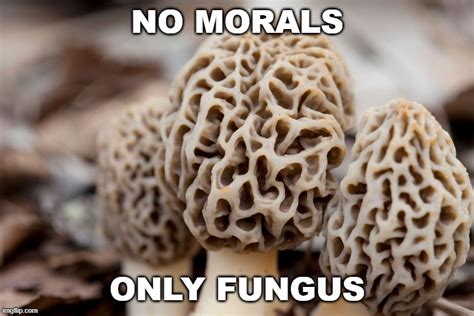 mushroom Memes & GIFs - Imgflip