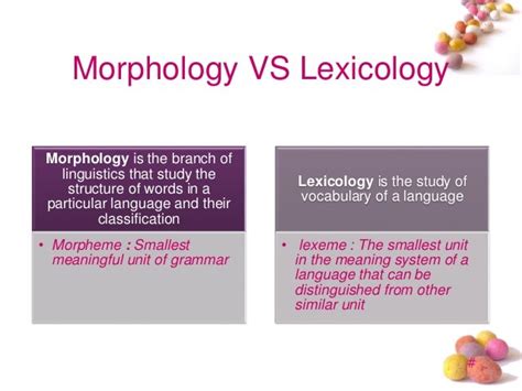 Introduction to morphosyntax