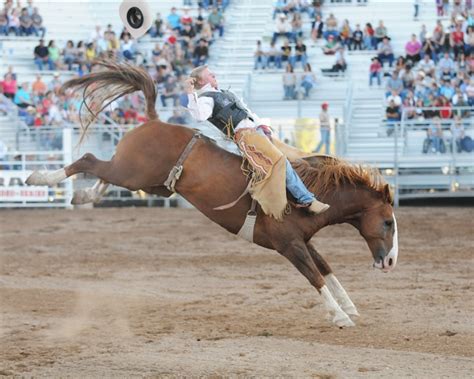 Bronc Riding | Bronc riding, Bucking bronco, Horses