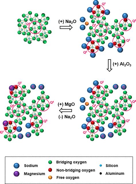 Frontiers | Field Strength of Network-Modifying Cation Dictates the ...