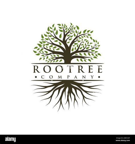 Vibrant tree logo design, tree and root vector. Tree of life logo ...