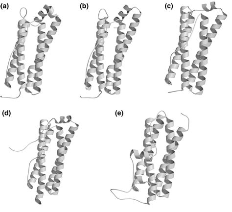 Fechtner syndrome (disorder) | Semantic Scholar