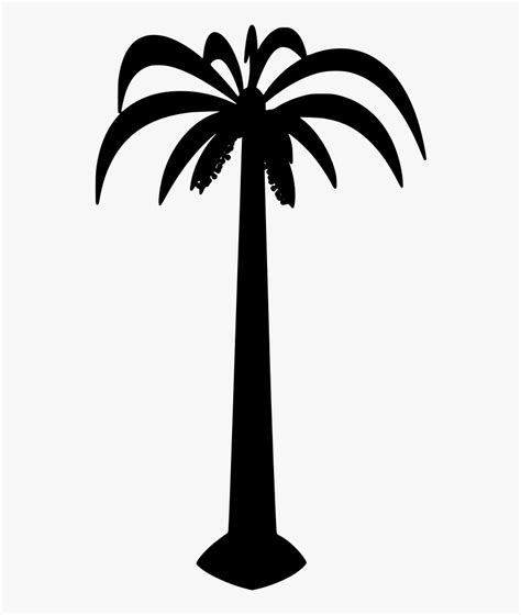 Coconut Palm Tree Drawing, HD Png Download , Transparent Png Image ...