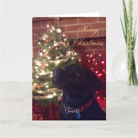 Black Lab Christmas Card | Zazzle