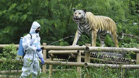 Delhi zoo set to reopen today in two shifts, ticket booking goes online ...