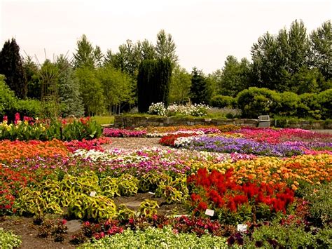 Destination: The Oregon Garden | A Traveling Gardener