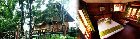 Best Tree House Resort in Wayanad, Keala | View Photos, Address