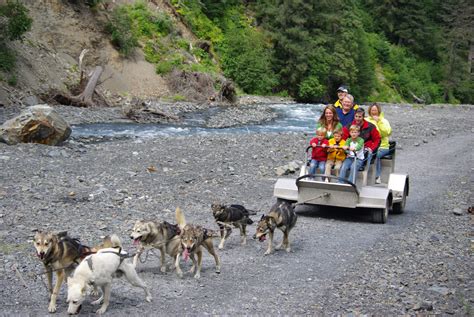 Alaska National Parks Tours | National Park, Forest & Cruise Vacations