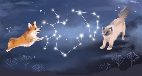 Your December Monthly Horoscope—and What It Means for Your Pet | BeChewy