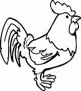 Chicken Coloring Pages  Best For Kids sketch template