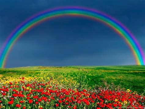 Nature Wallpapers Rainbow On Sky Wallpapers Desktop Background