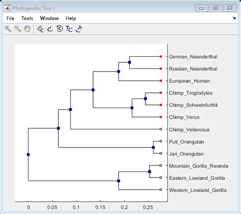 Phylogenetic Analysis - MATLAB & Simulink