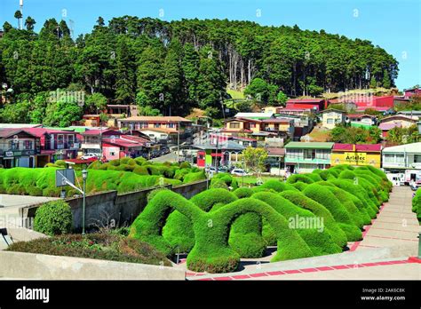 Zarcero costa rica hi-res stock photography and images - Alamy