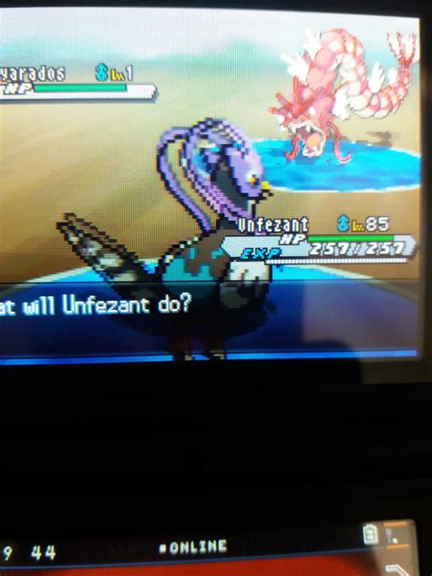 [5] Shiny Level 1 Gyarados in Nature Reserve in White 2 after 15645 RE!!! Took 5 months : r ...