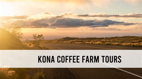 The best Kona coffee farm tours and other unique Big Island tours