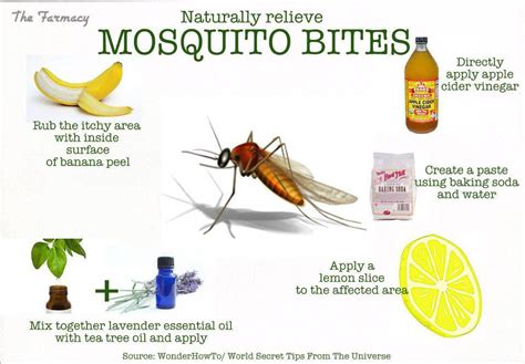 ShowMe Nan: Naturally Relieves Mosquito Bites