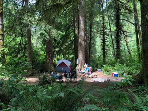 14+ Spots for Free Camping in Oregon and How to Find More in 2020 | Oregon camping, Camping ...