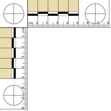 File:50 mm L ruler ty.svg - Wikipedia