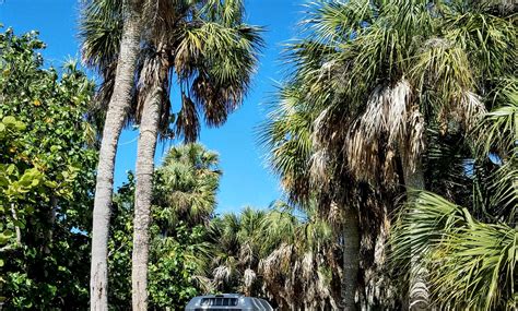 Camping in Florida: 50+ Best Places to Camp