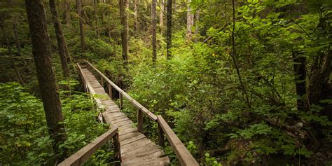 Ozette Triangle Loop Trail | Outdoor Project