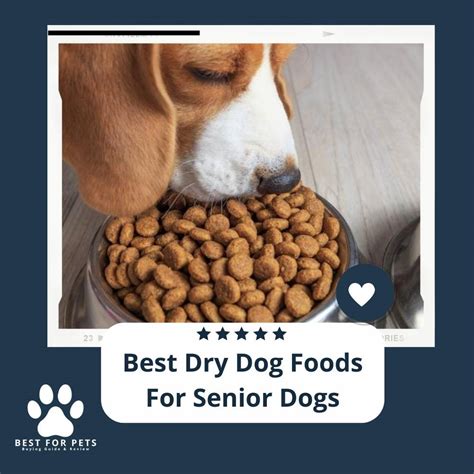 The 11 Best Dry Dog Foods For Senior Dogs of 2023